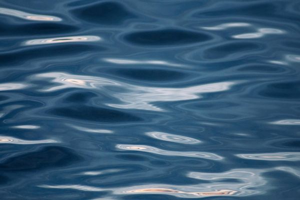 An abstract image representing mindfulness, like ripples in calm water.
